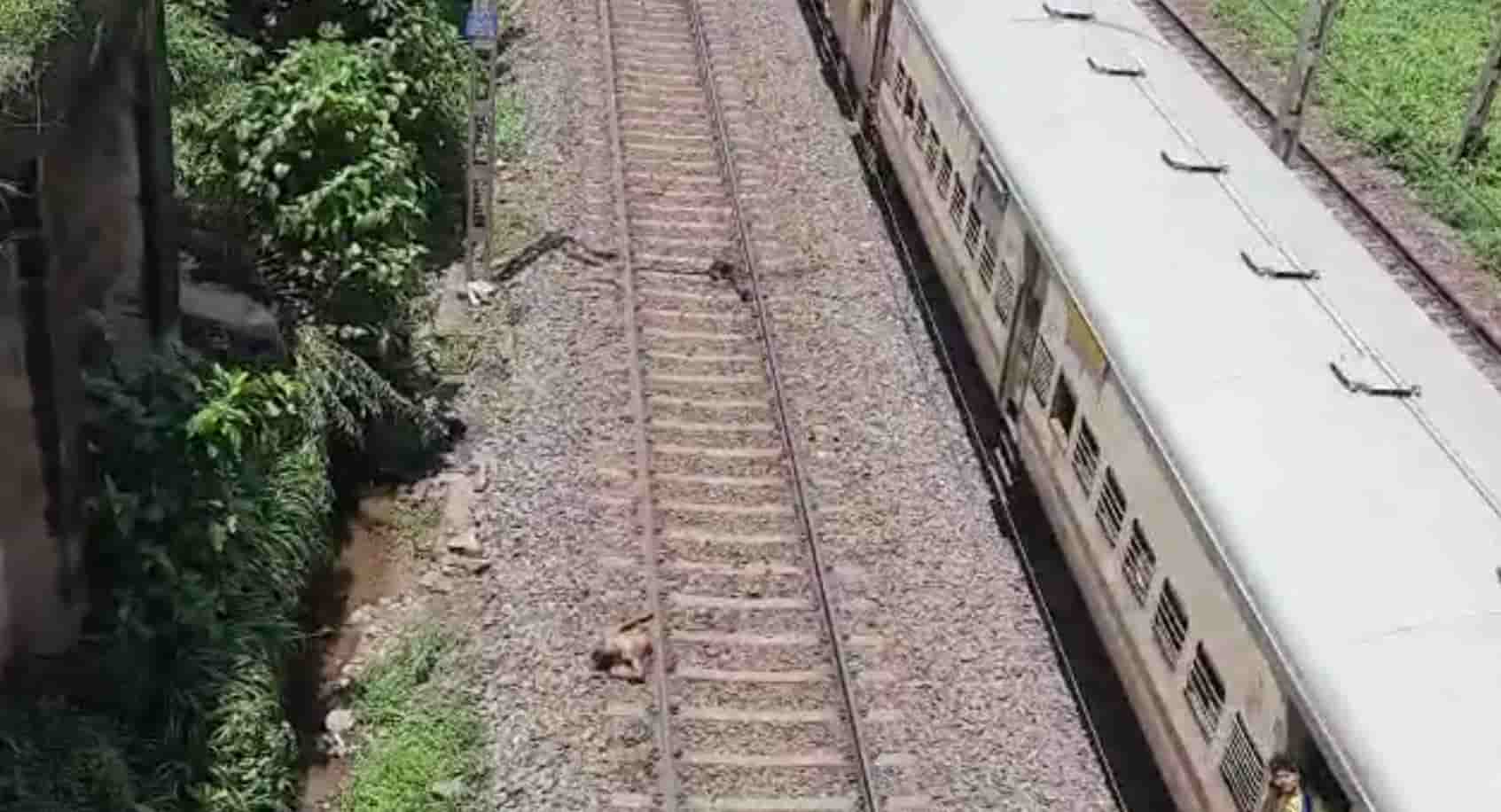 Dead body found on Adityapur railway track Dead body found on Adityapur railway track Town Post